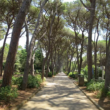 Podere La Madonnina-4 By Interhome